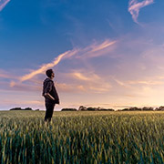 外資系 Okawa.Co.,Ltd.