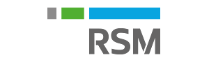 RSM汐留パートナーズ株式会社