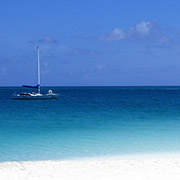 外資系メディカル・医学 コアメッド株式会社